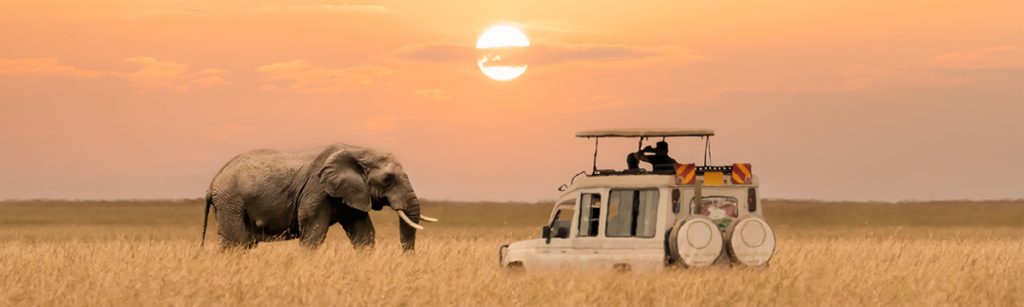 Travel Vaccination-Web Image-Africa